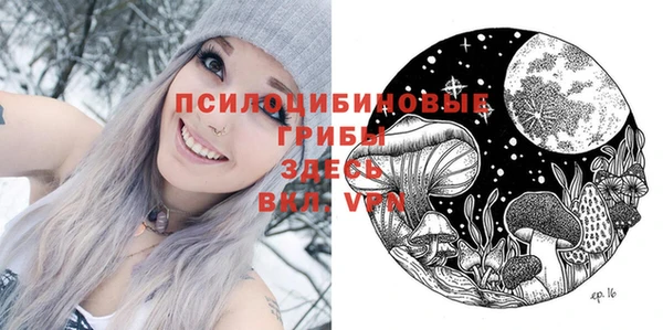 прущие крисы Верхний Тагил