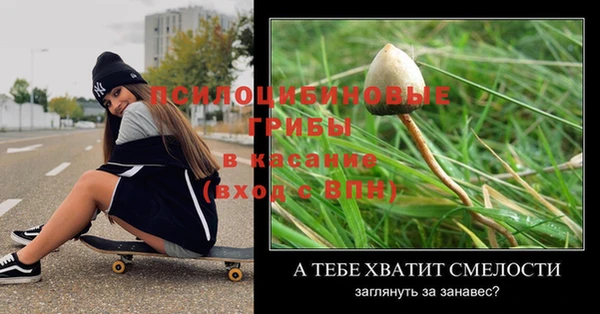 винт Верея