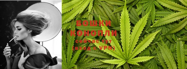 прущие крисы Верхний Тагил