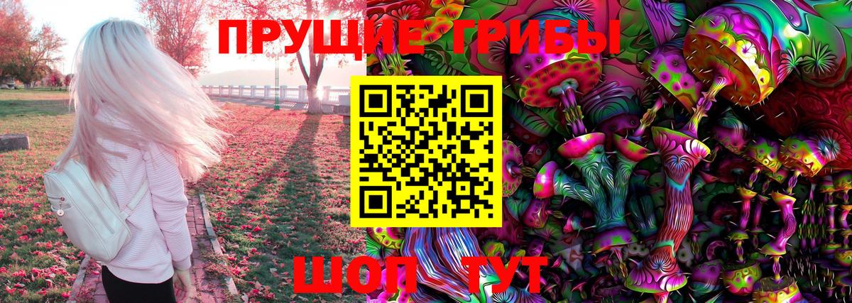 Псилоцибиновые грибы Psilocybine cubensis Бутурлиновка