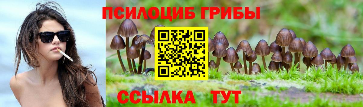 Галлюциногенные грибы мицелий  Вход с VPN  Бутурлиновка 